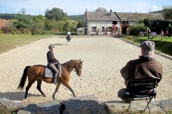 d.pincus-clinic-2012-minarik-dressage_03.jpg