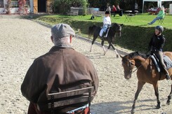 d.pincus-clinic-2012-minarik-dressage_04.jpg