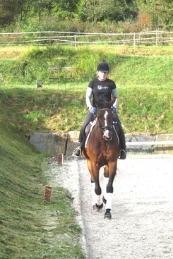 d.pincus-clinic-2012-minarik-dressage_08.jpg