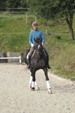 d.pincus-clinic-2012-minarik-dressage_10.jpg