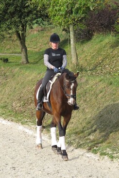 d.pincus-clinic-2012-minarik-dressage_11_1.jpg