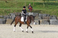 d.pincus-clinic-2012-minarik-dressage_12.jpg