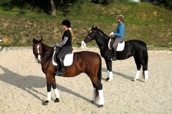 d.pincus-clinic-2012-minarik-dressage_15_1.jpg