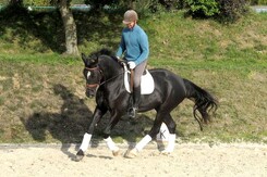 d.pincus-clinic-2012-minarik-dressage_17.jpg