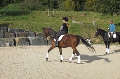 d.pincus-clinic-2012-minarik-dressage_19_1.jpg