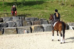 d.pincus-clinic-2012-minarik-dressage_21.jpg