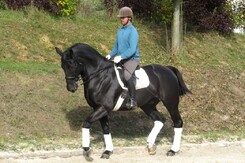 d.pincus-clinic-2012-minarik-dressage_27.jpg