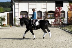 d.pincus-clinic-2012-minarik-dressage_28.jpg