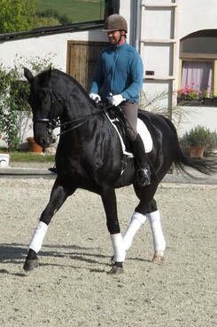 d.pincus-clinic-2012-minarik-dressage_29.jpg