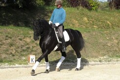 d.pincus-clinic-2012-minarik-dressage_31.jpg