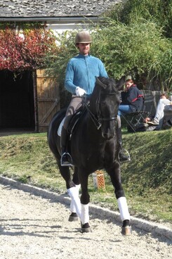 d.pincus-clinic-2012-minarik-dressage_32.jpg