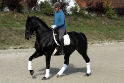 d.pincus-clinic-2012-minarik-dressage_33.jpg