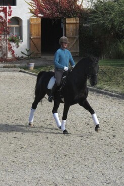 d.pincus-clinic-2012-minarik-dressage_34.jpg