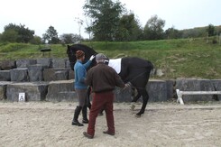 d.pincus-clinic-2012-minarik-dressage_35.jpg