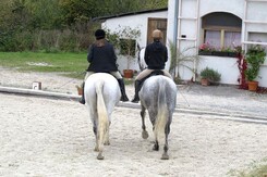 d.pincus-clinic-2012-minarik-dressage_39.jpg