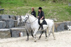 d.pincus-clinic-2012-minarik-dressage_40.jpg