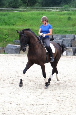 minarik-dressage-cerven-2012_10.jpg