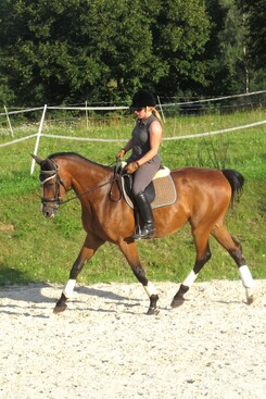 minarik-dressage-cerven-2012_14.jpg