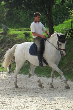 minarik-dressage-cerven-2012_17.jpg