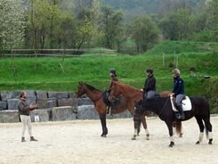 minarik-dressage-jaro2013_14.jpg