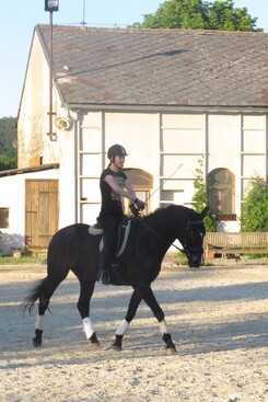 minarik-dressage-june-2013_05.jpg