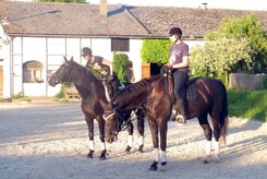 minarik-dressage-june-2013_08.jpg