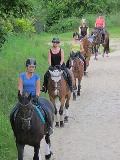 riding-school-minarik-dressage.2016_10.jpg