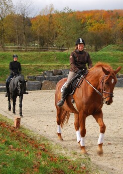 tamir-levitan-clinic-minarik-dressage_04.jpg