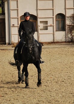 tamir-levitan-clinic-minarik-dressage_10.jpg