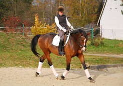 tamir-levitan-clinic-minarik-dressage_15.jpg