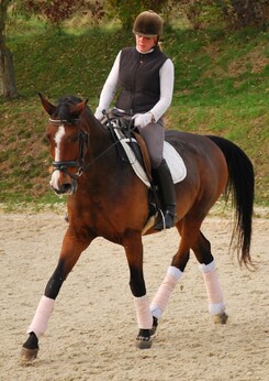 tamir-levitan-clinic-minarik-dressage_17.jpg