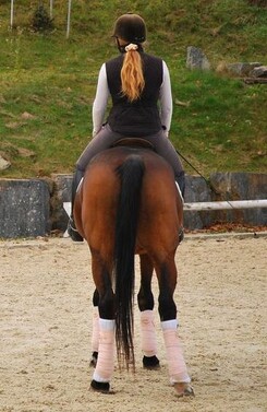 tamir-levitan-clinic-minarik-dressage_18.jpg