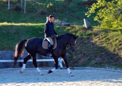 tamir-levitan-clinic-minarik-dressage_34.jpg