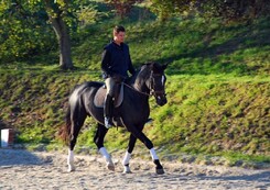 tamir-levitan-clinic-minarik-dressage_35.jpg