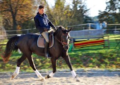 tamir-levitan-clinic-minarik-dressage_37.jpg