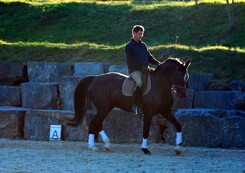 tamir-levitan-clinic-minarik-dressage_38.jpg