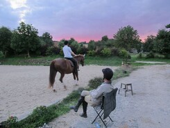 riding-school-minarik-dressage.2016.jpg