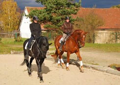 tamir-levitan-clinic-minarik-dressage_07.jpg