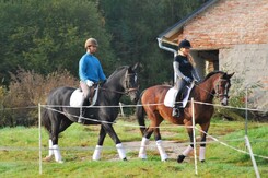 d.pincus-clinic-minarik-dressage-k.bartova-f.minarik.jpg d.pincus-clinic-minarik-dressage-k.bartova-f.minarik.jpg
