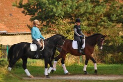 d.pincus-clinic-minarik-dressage-k.bartova-f.minarik_02.jpg d.pincus-clinic-minarik-dressage-k.bartova-f.minarik_02.jpg