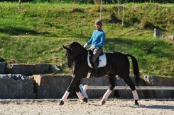 d.pincus-clinic-minarik-dressage-k.bartova-f.minarik_20.jpg