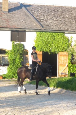 minarik-dressage-june-2013_07.jpg