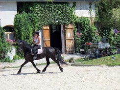 minarik-dressage.2014_11.jpg minarik-dressage.2014_11.jpg