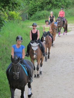 riding-school-minarik-dressage.2016_10.jpg riding-school-minarik-dressage.2016_10.jpg