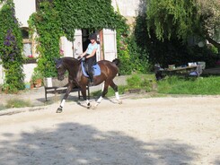 riding-school-minarik-dressage.2016_22.jpg riding-school-minarik-dressage.2016_22.jpg