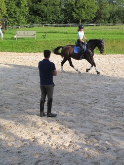riding-school-minarik-dressage.2016_24.jpg riding-school-minarik-dressage.2016_24.jpg