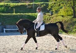 tamir-levitan-clinic-minarik-dressage_25.jpg
